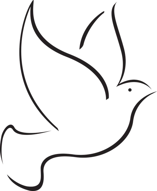 logo2
